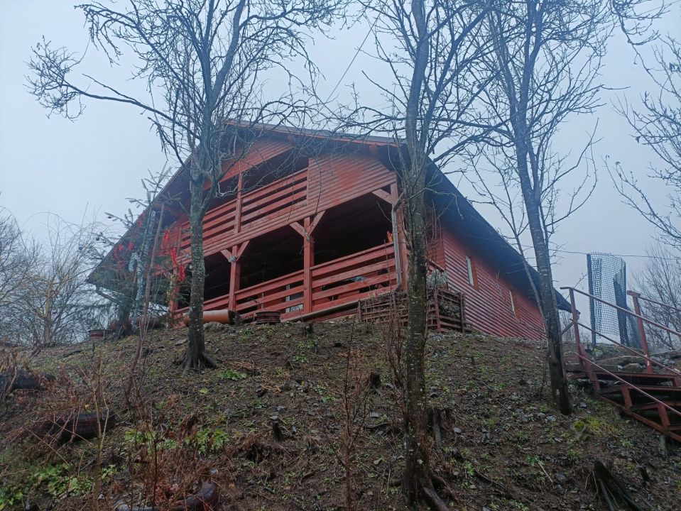 Cabană de vânzare în Bistra-Mureșului, com Deda, sau schimb – fotografia 5 din 21