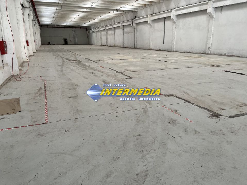 Hale Productie Depozitare Alba Su. de la 1725 mp. - 4000 mp. finisata complet – fotografia 9 din 11