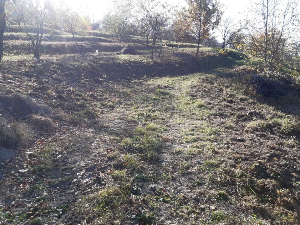Teren cu acces facil și priveliște panoramică în Podgoria Oradea – fotografia 2 din 4