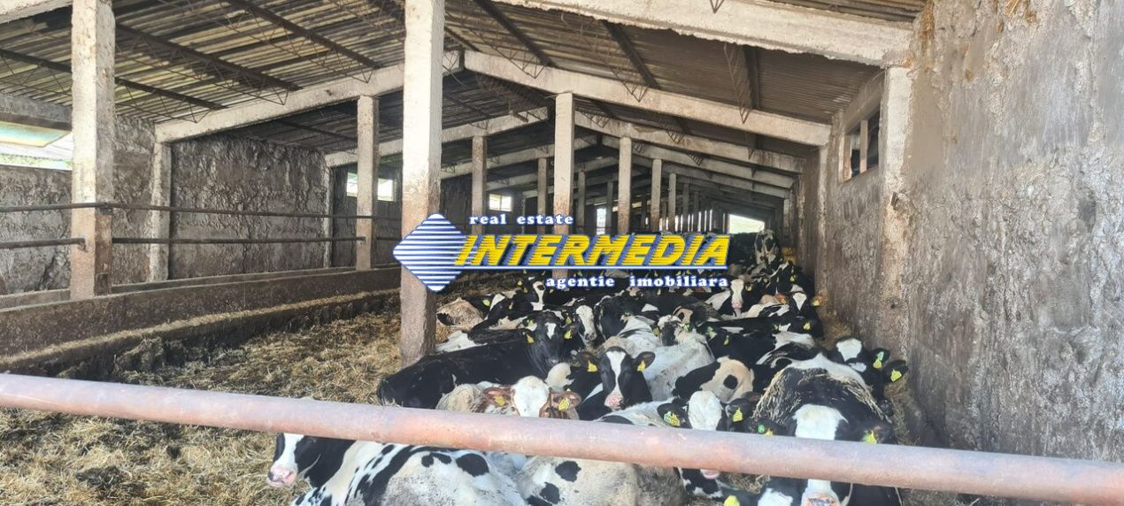 Ferma de vanzare in apropiere de Alba Iulia – fotografia 11 din 12