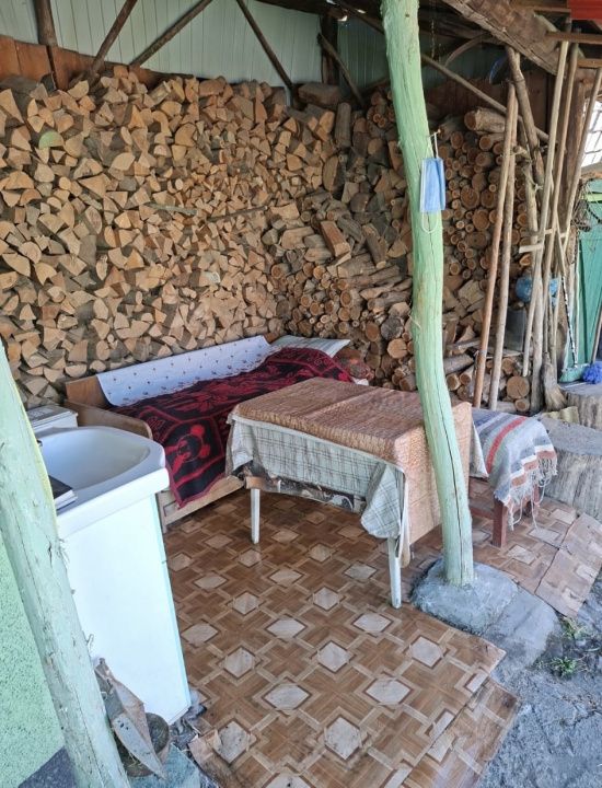 Casă în Cricău cu 1.375 mp teren, anexe, utilități, vie și livadă - Oportunitate – fotografia 43 din 54