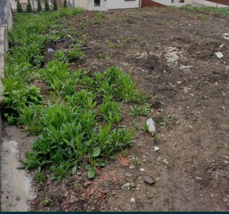 Teren intravilan 500 mp pretabil pentru constructie casa/duplex, Floresti! – fotografia 2 din 3