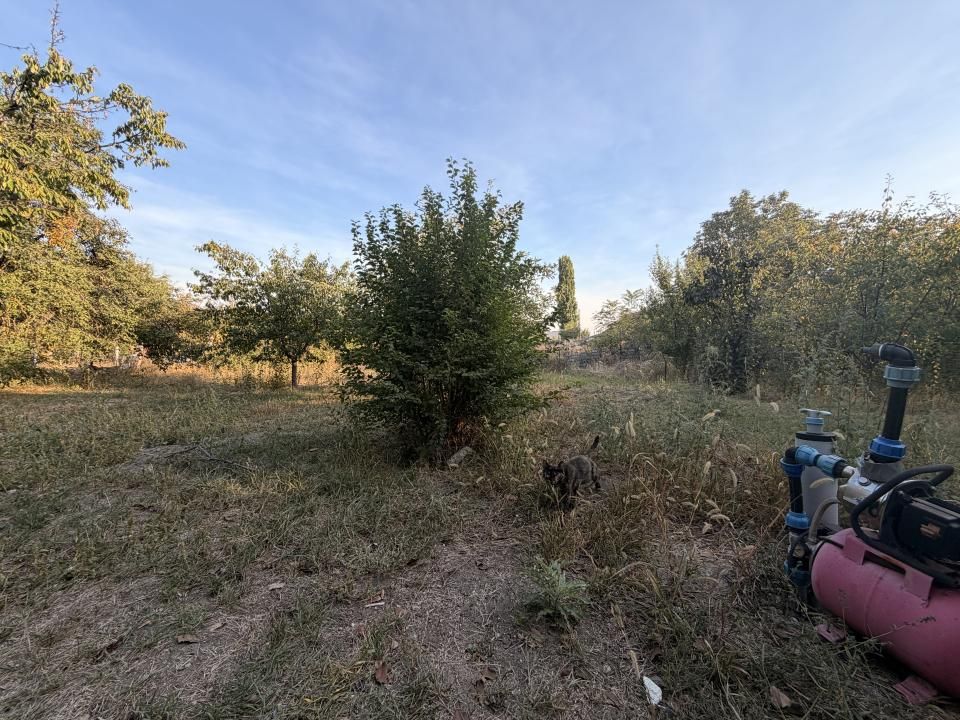 Casa individuala 110 mp utili, 1487 mp teren - Zona Blascovici – fotografia 14 din 17