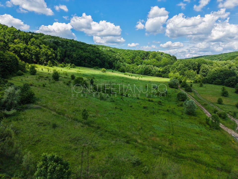 Teren Pasune + Arabil - Valea Mare Podgoria Arges – fotografia 10 din 29
