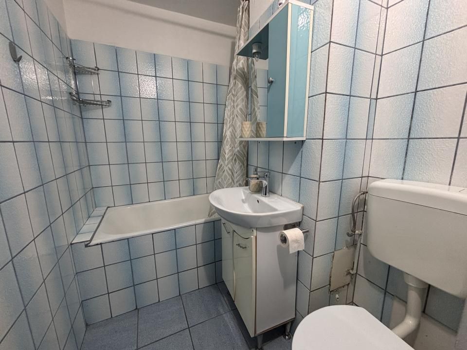 2 Camere Teiul Doamnei / Doamna Ghica / Colentina – fotografia 7 din 8