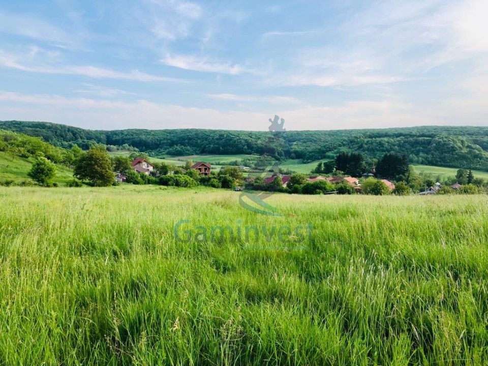 Teren mixt de vanzare in Hidiselu de Jos, Bihor – fotografia 1 din 5