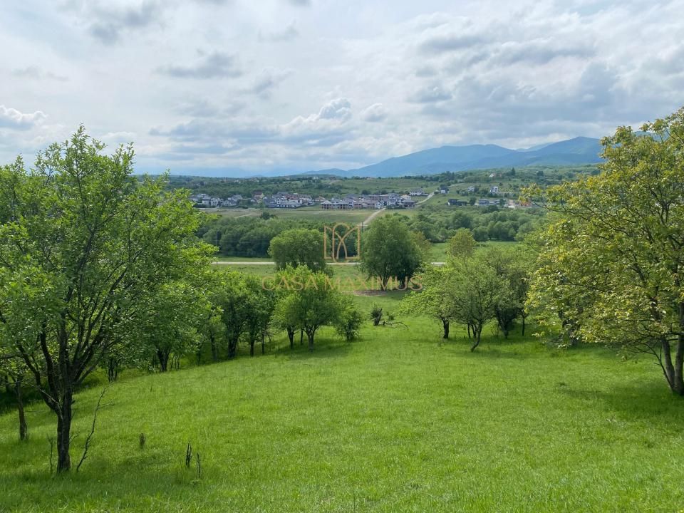 TEREN CU PANORAMĂ SPECTACULOASĂ ÎN CISNĂDIOARA – OPORTUNITATE DE INVESTIȚIE! – fotografia 1 din 15