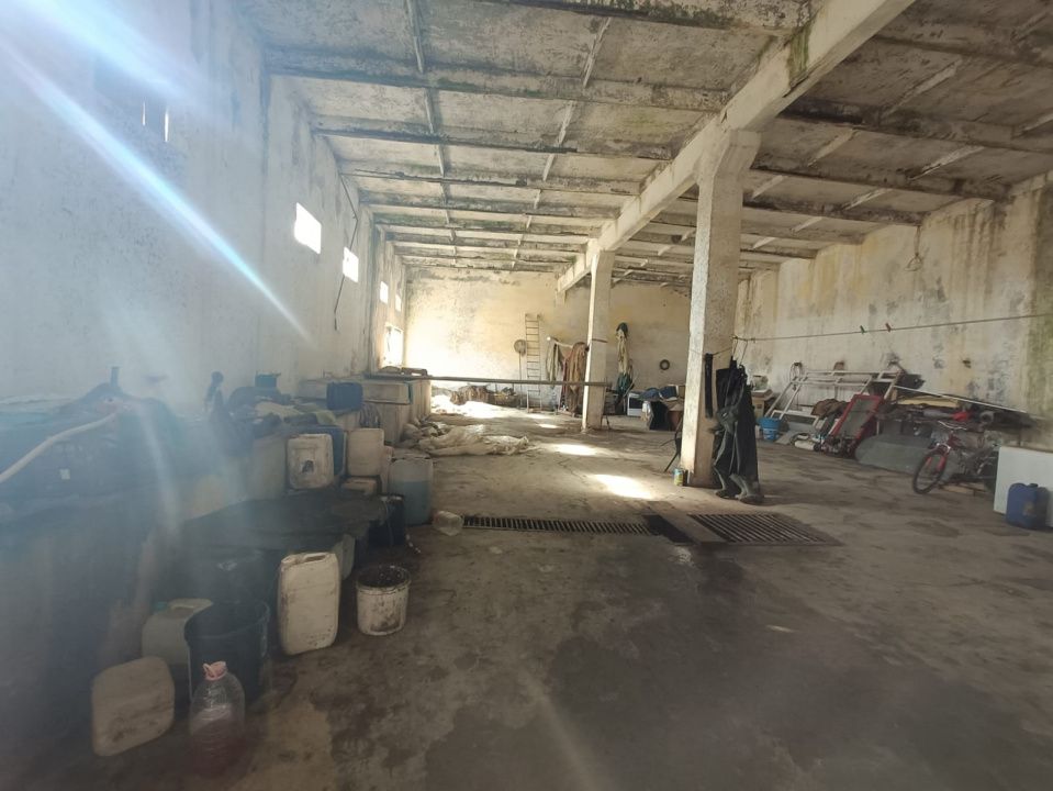 Fermă piscicolă 1100 ha - Chilia Veche Delta Dunării – fotografia 15 din 30