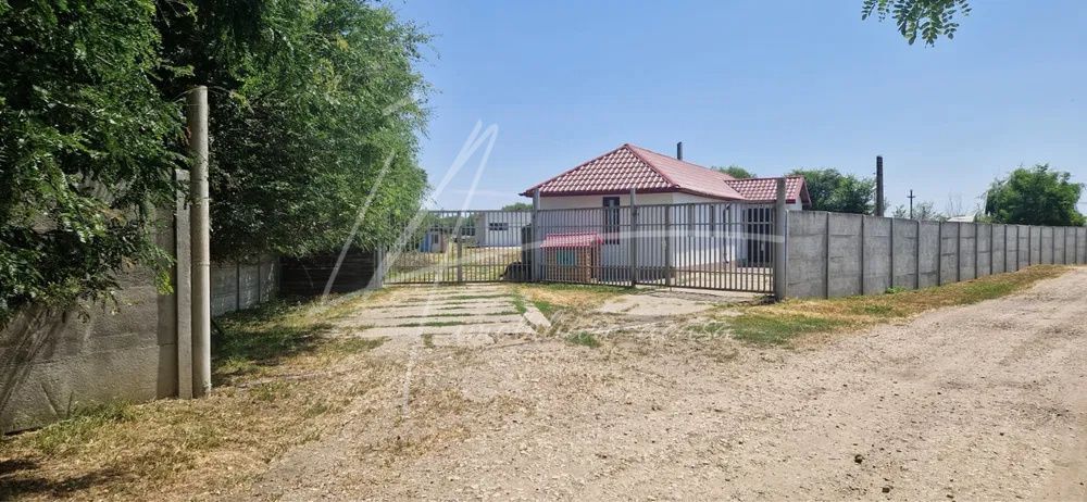 Teren langa padure,aproape de Bucuresti 10 275 mp de liniste. – fotografia 7 din 8