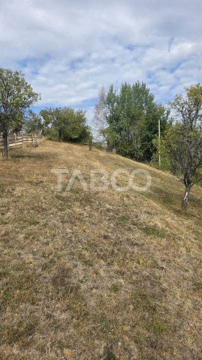 Teren de vanzare 8.300 mp Plesi Loman judetul Alba – fotografia 3 din 10