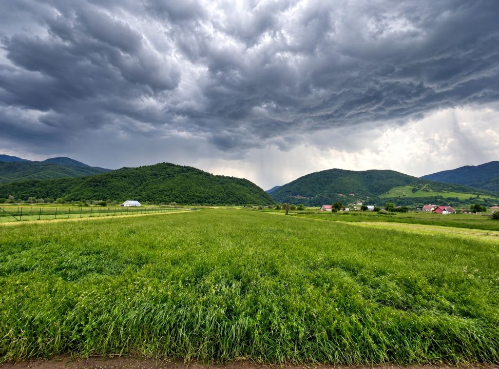 TEREN INTRAVILAN DE VÂNZARE – BOIȚA | 3.477 MP | LA DOAR 700 M DE NODUL RUTIER – fotografia 1 din 2