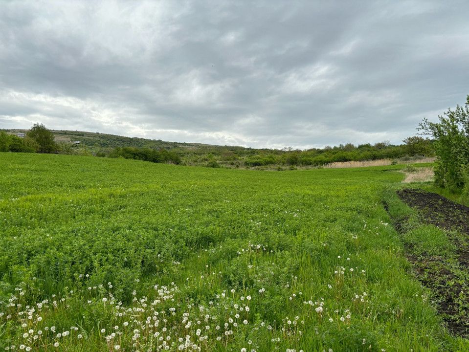 Teren extravilan, 2165 mp, priveliste, zona Dealul Fanatelor! – fotografia 1 din 6