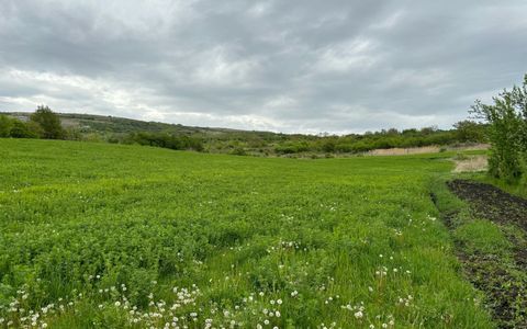 Teren extravilan, 2165 mp, priveliste, zona Dealul Fanatelor!