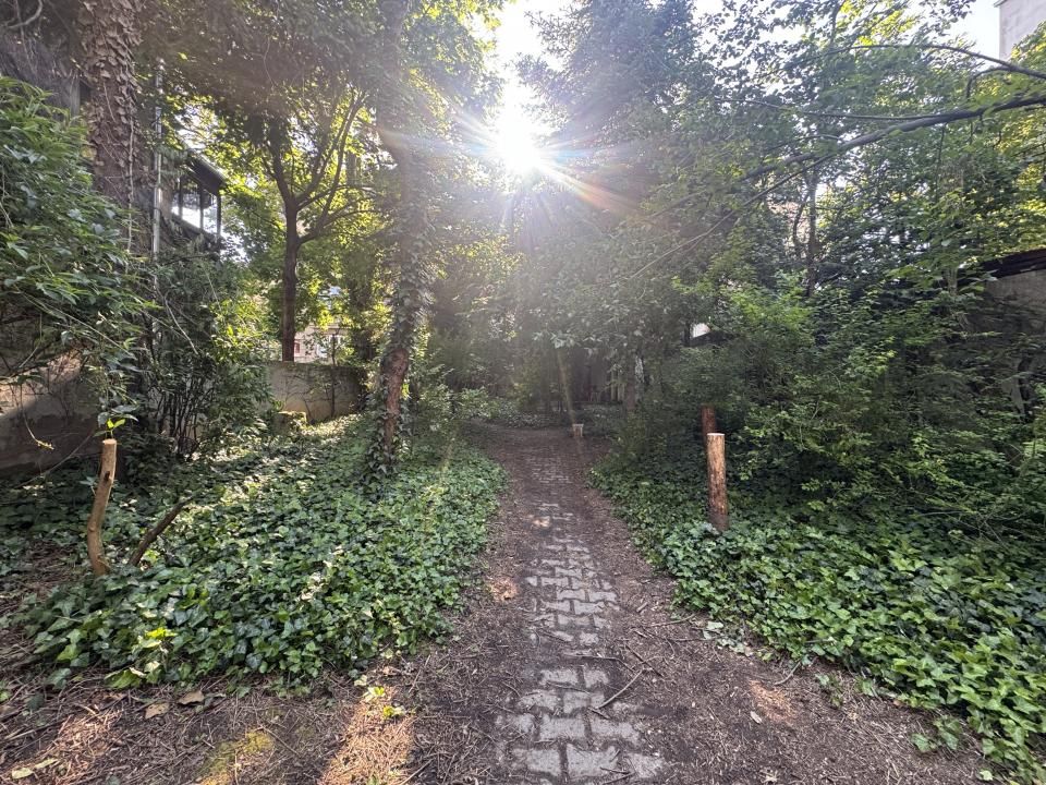 Proprietate unica la Grădina Icoanei – fotografia 10 din 24