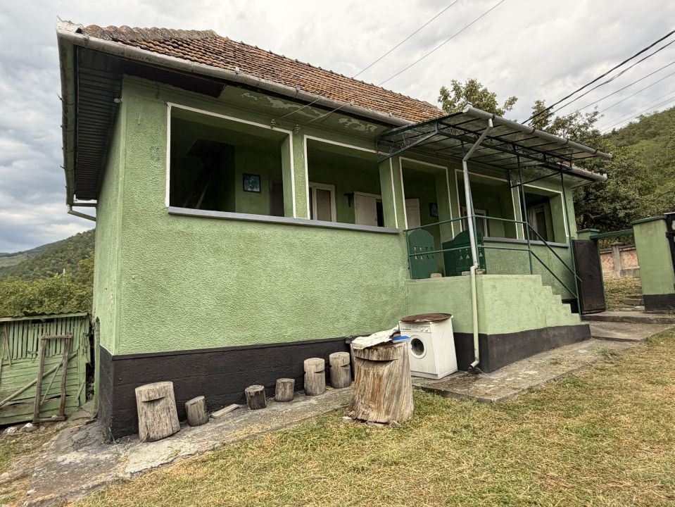 Casă în Cricău cu 1.375 mp teren, anexe, utilități, vie și livadă - Oportunitate – fotografia 15 din 54