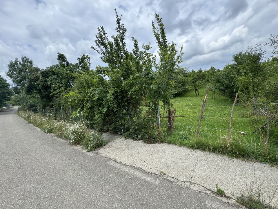 🏡 Teren intravilan | 22Ari. |  Budacu de Sus, la doar 17 km de Bistrița! 🌳 – fotografia 4 din 4