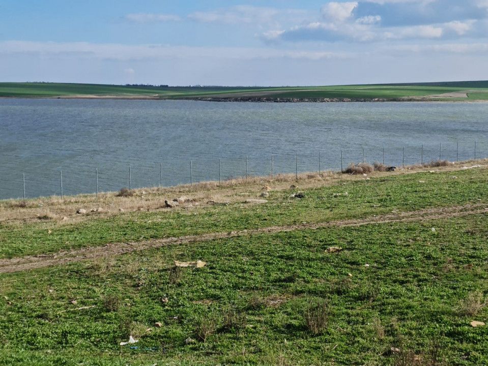 Teren de vanzare in Techirghiol zona Lac – fotografia 7 din 12