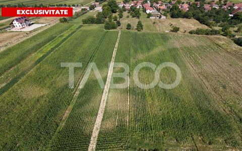 Teren intravilan 2000 mp si extravilan 1150 mp de vanzare in Vad