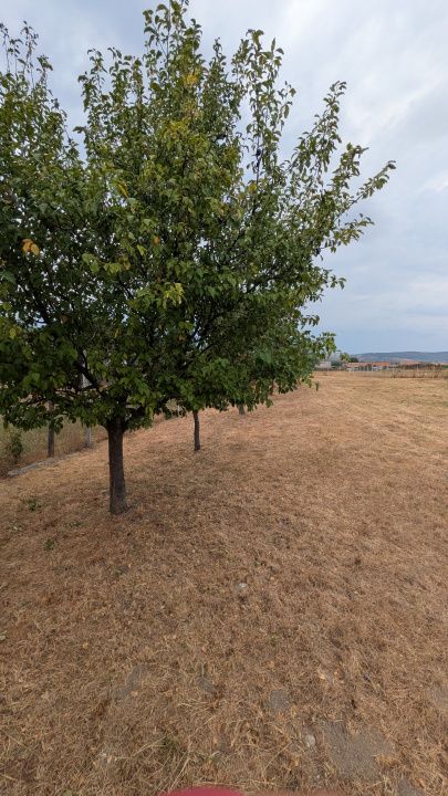 GURA RÂULUI | CASĂ PE 3.046 MP, CU O PRIVELIȘTE DIFERITĂ LA FIECARE FEREASTRĂ – fotografia 23 din 51