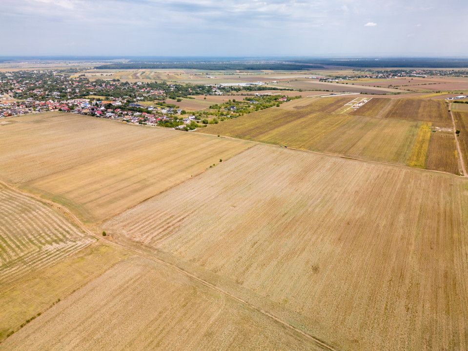 DASCALU - TEREN INTRAVILAN 7500 MP, INVESTITIE! – fotografia 13 din 17