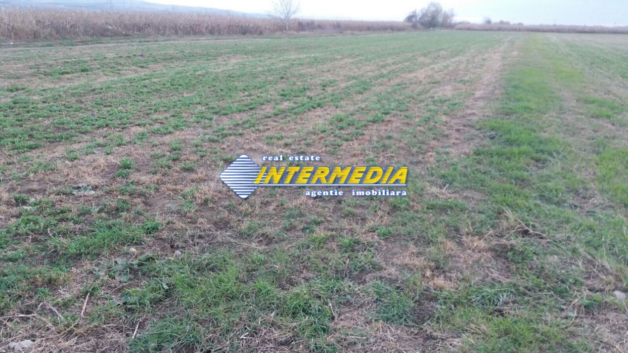 Teren Intravilan 5000 mp Zona Soseaua de Centura, Alba Iulia – fotografia 1 din 3