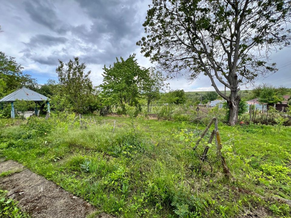 Casă + teren 4430 mp, vie și pomi fructiferi, 22 km de Tecuci – fotografia 21 din 36
