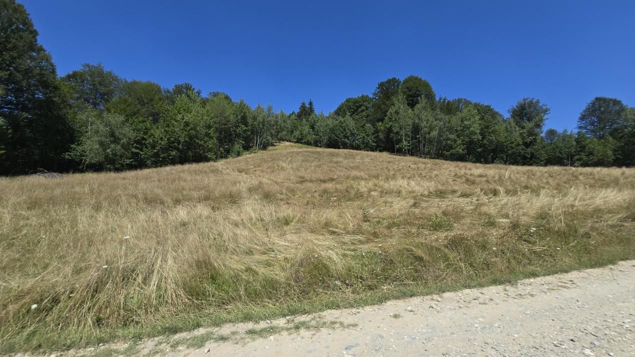 De vânzare teren de 36.200 mp teren în Poiana Mărului – fotografia 4 din 9