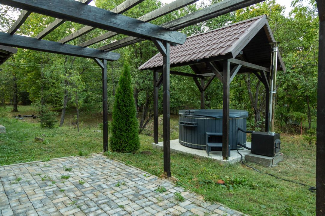 Cabane de vânzare Reghin Deda - Bistra Mureșului – fotografia 10 din 44