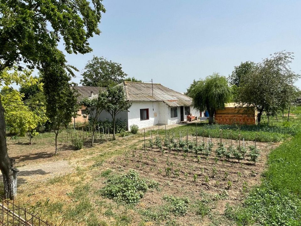 Teren intravilan 2.581 mp de vânzare în Mihail Kogălniceanu – deschidere 36,84ml – fotografia 4 din 14
