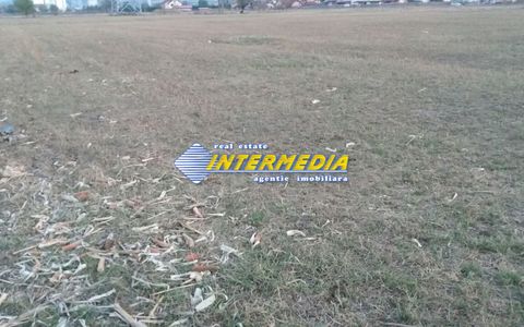 Teren  intravilan de vanzare zona Ampoi 3 de 27500mp