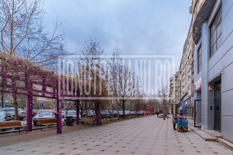 Spatiu comercial Bd Unirii Piața Alba Iulia Parter + 1etaj – fotografia 4 din 18
