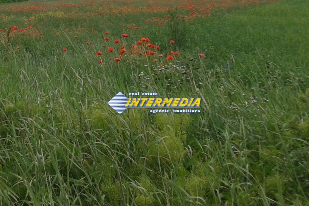 Teren intravilan  600 mp  - 1800 mp zona Valea Popi – fotografia 1 din 3