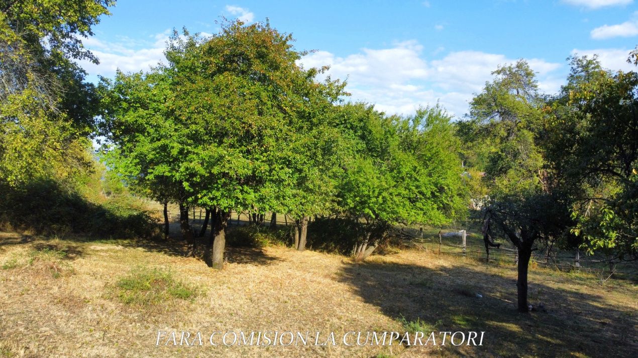 TEREN 5274 MP, CADRU NATURAL MINUNAT – fotografia 9 din 17