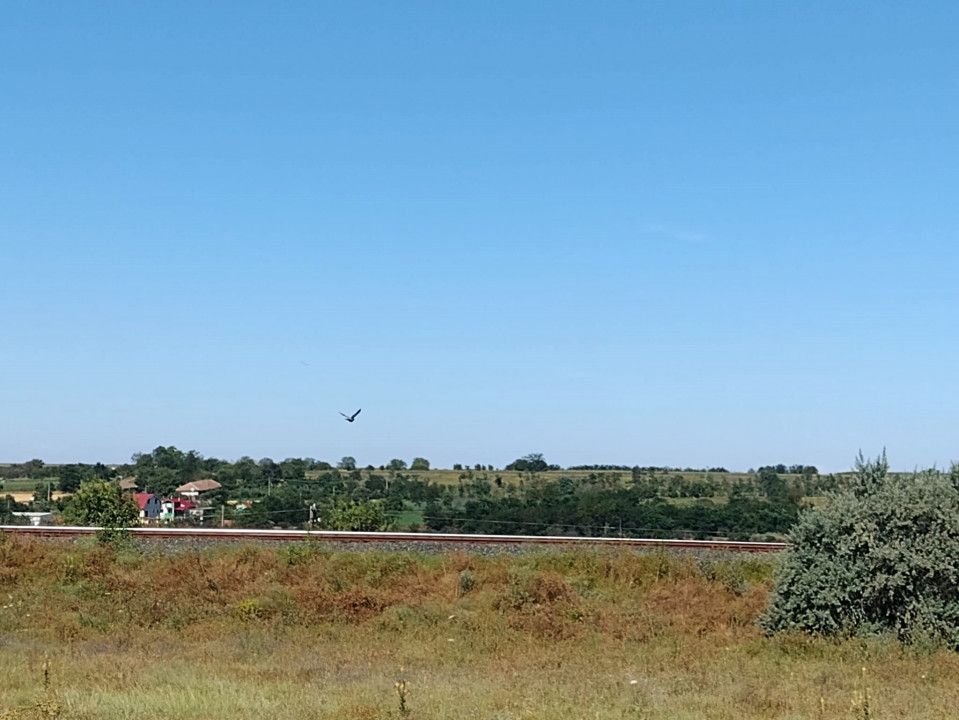 TUZLA - Teren intravilan 1000 mp, langa lacul Techirghiol! – fotografia 2 din 10