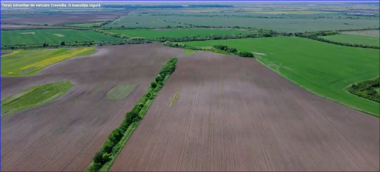 OPORTUNITATE DE INVESTIȚIE – 82.757 MP TEREN INTRAVILAN ÎN CREVEDIA – fotografia 4 din 9