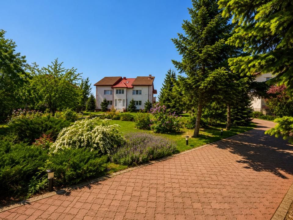 Oportunitate Rară în Ciorogârla– 8.000 mp Teren | Dublu Acces Asfaltat – fotografia 4 din 23