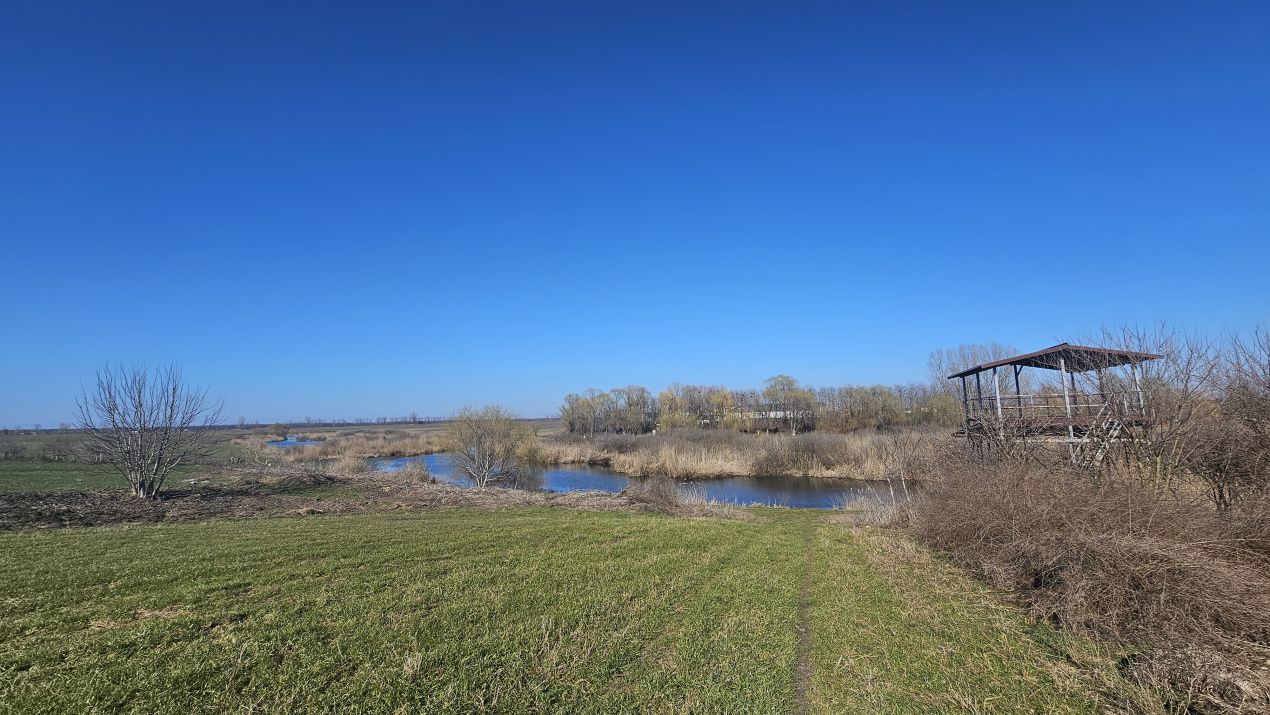 Loturi de Casa pe malul Lacului Creața, Dascălu – 460 mp + Drum servitute – fotografia 3 din 9