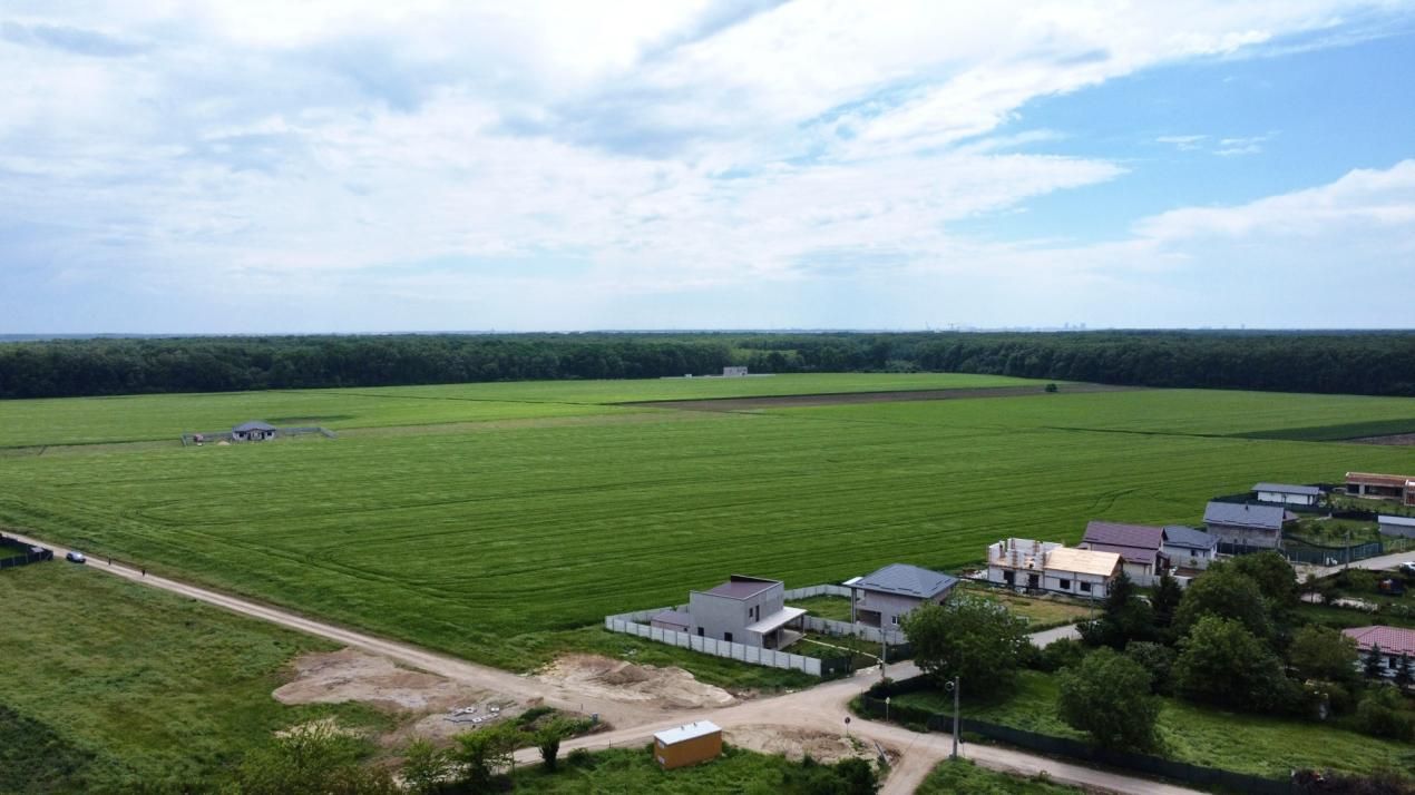 ✨OPORTUNITATE INVESTIȚIE:Teren intravilan 25.000mp Dascălu-Pădure, parcelabil✨ – fotografia 14 din 14