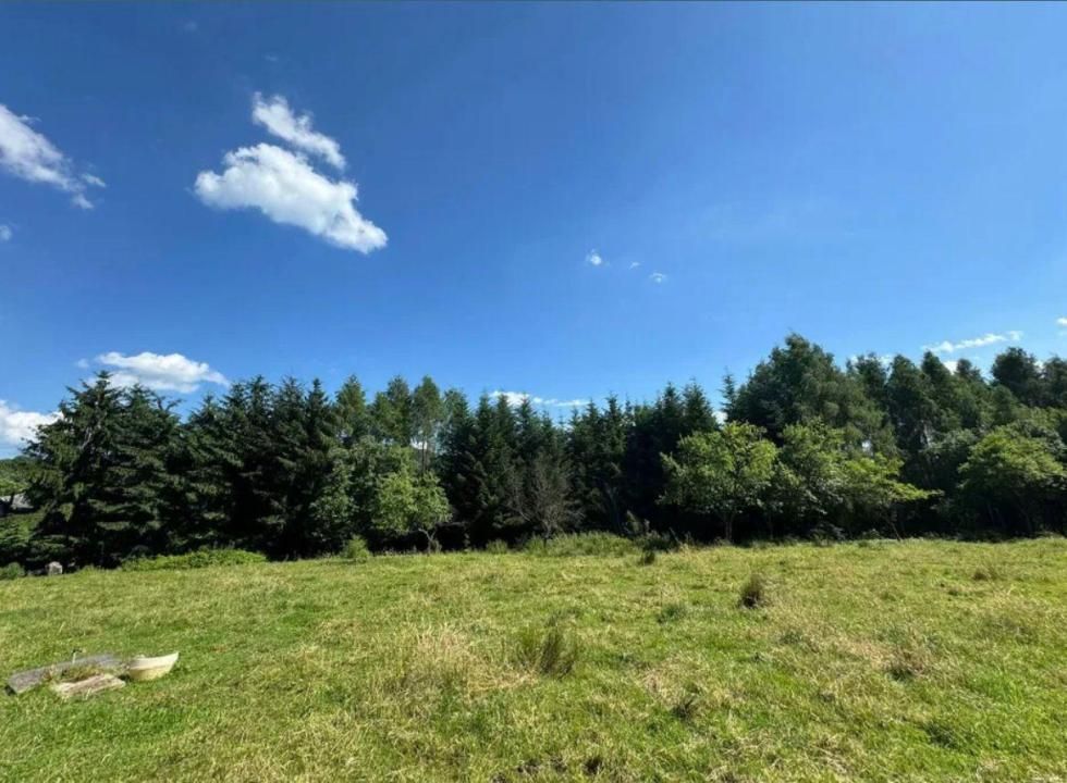 Teren intravilan 5.755 mp | Zona Muzeul Satului Maramureșean, Sighetu Marmației – fotografia 2 din 6