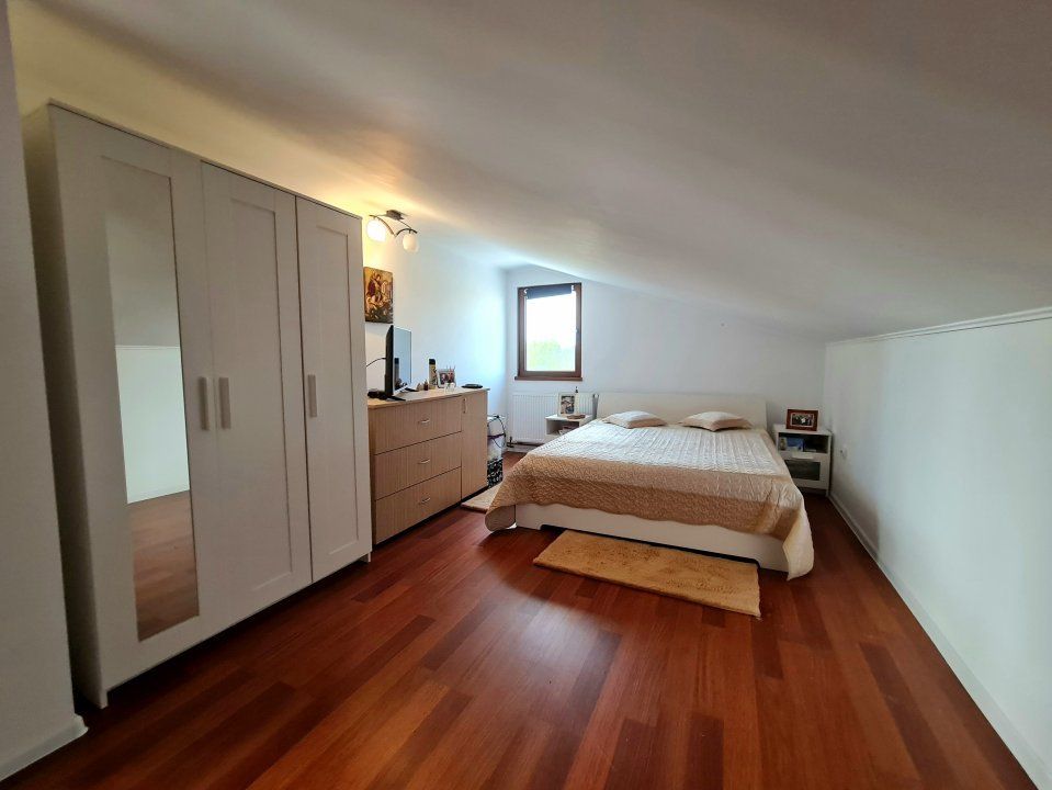 Vila + Afacere 15.000mp Clinceni – fotografia 19 din 31