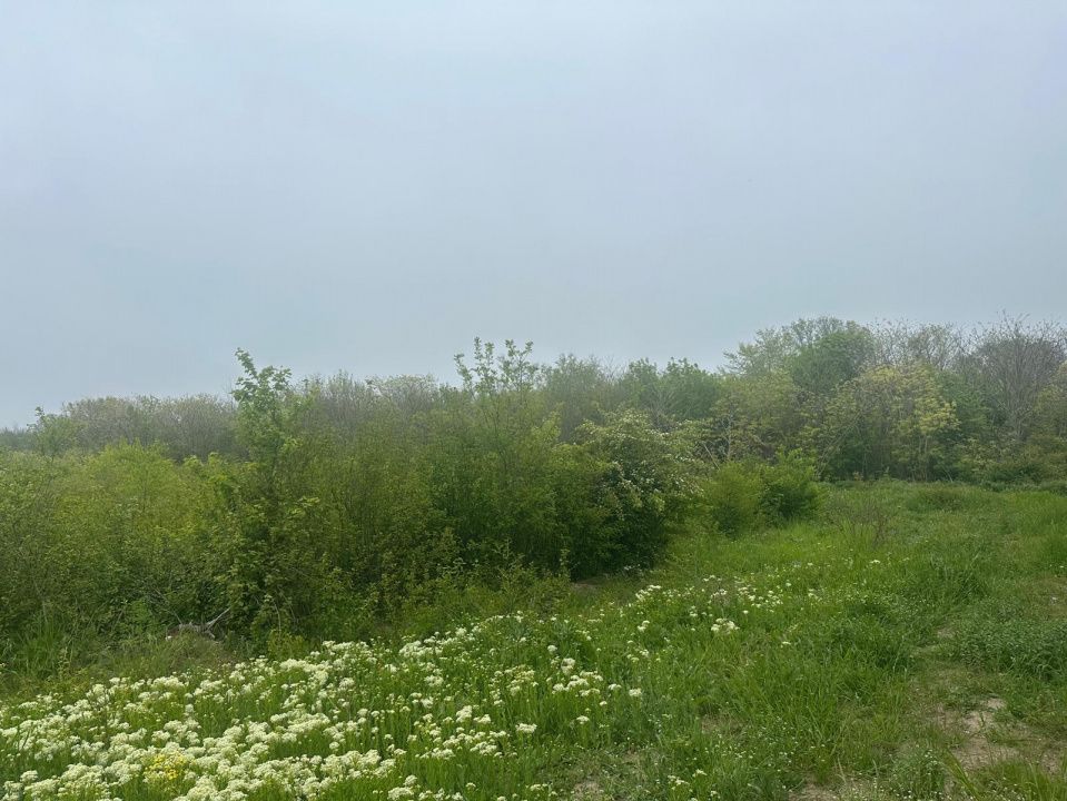 Investitie Litoral! Teren intravilan de vanzare | 46.000mp | Neptun – fotografia 18 din 24