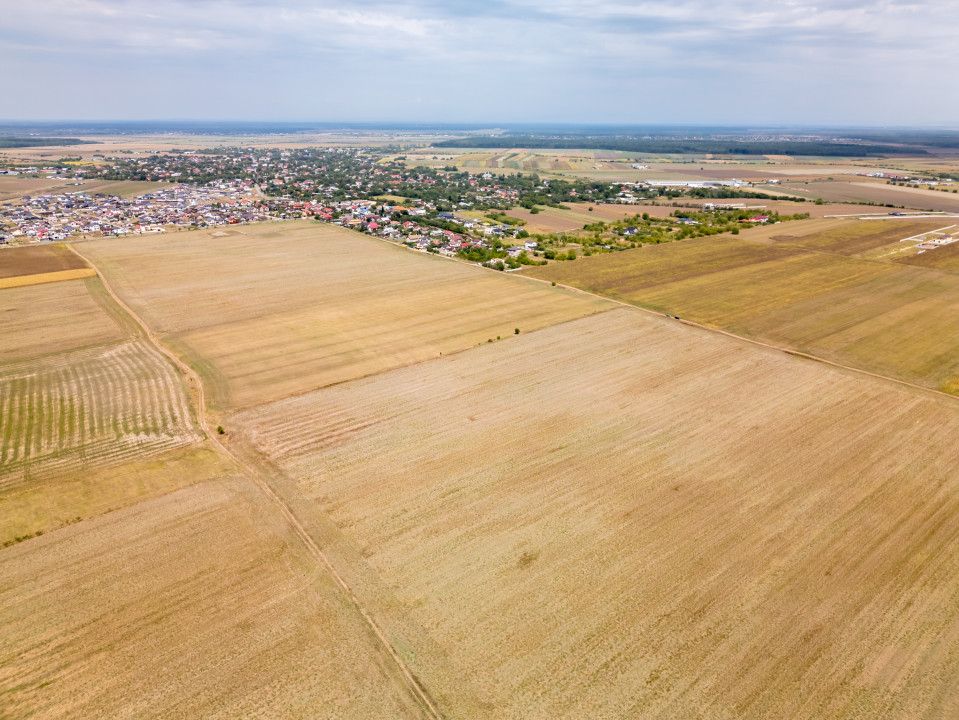 DASCALU - TEREN INTRAVILAN 7500 MP, INVESTITIE! – fotografia 12 din 17
