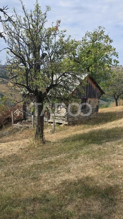 Teren de vanzare 8.300 mp Plesi Loman judetul Alba – fotografia 6 din 10