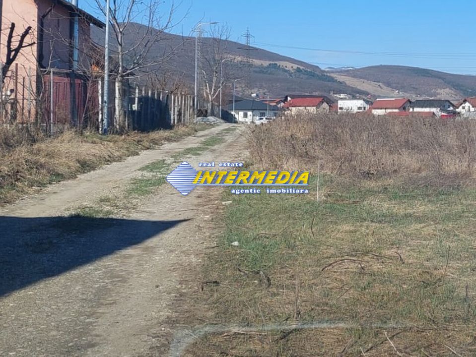 Teren Intravilan in Cetate pozitie deosebita – fotografia 6 din 6