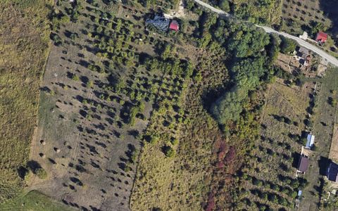 Teren intravilan de vanzare in zona Sofiei, Oradea, Bihor