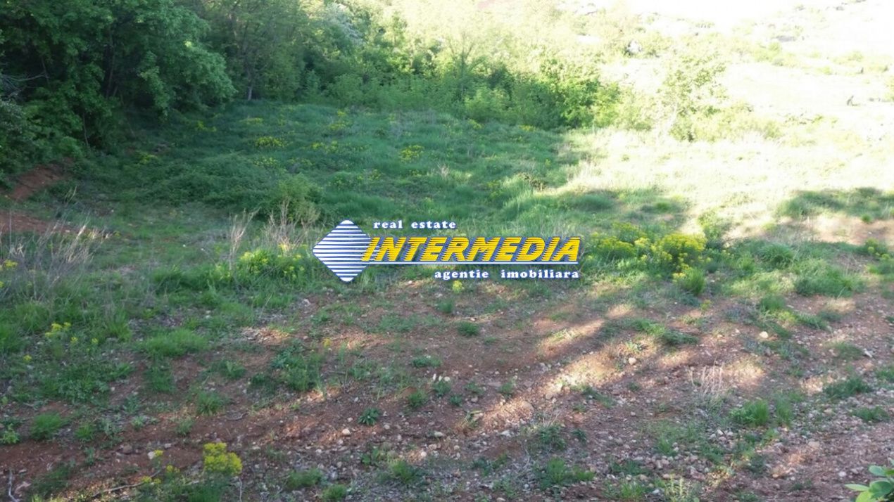 Teren intravilan de vanzare 4000 mp zona Alba Micesti – fotografia 2 din 3