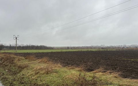 Teren de vânzare | Lumina, Constanța | Ideal investiție