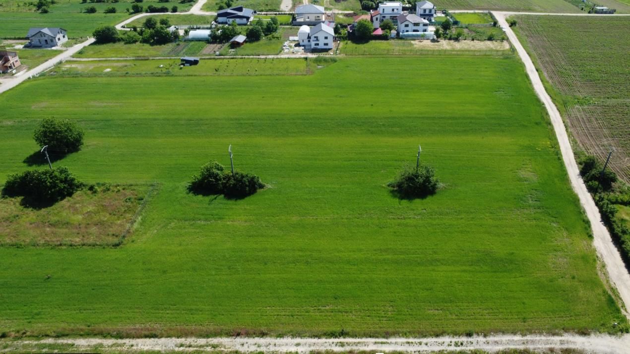 Oportunitate de Investiție și Dezvoltare Rezidențială: Teren 2.246mp, Snagov-A3 – fotografia 10 din 16