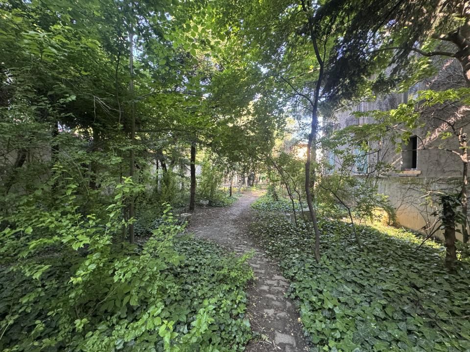 Proprietate unica la Grădina Icoanei – fotografia 13 din 24