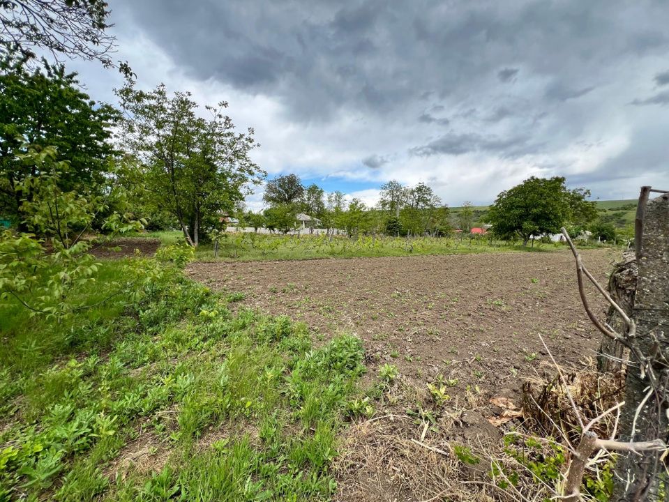 Casă + teren 4430 mp, vie și pomi fructiferi, 22 km de Tecuci – fotografia 18 din 36